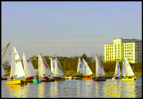 _DSC2916a