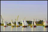_DSC2921a