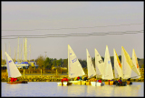 _DSC2926a