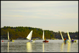 _DSC2932a