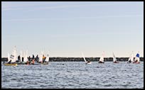 _DSC4339