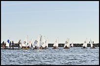 _DSC4358