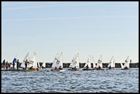 _DSC4361