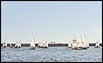 _DSC4396