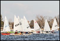 _DSC6353