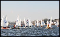 _DSC6445