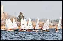 _DSC6511
