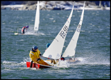 _DSC3445a