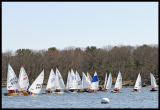 _DSC1170