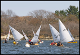 _DSC1194