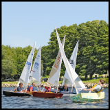 _DSC5381a-800