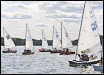 _DSC1295