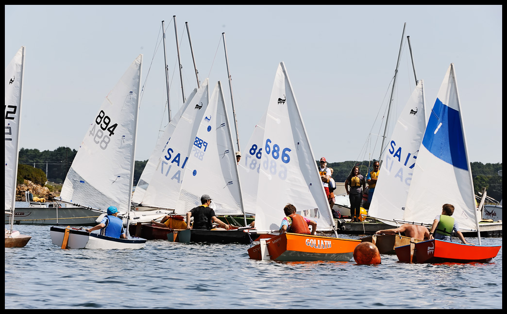 _DSC1599