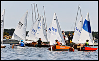 _DSC1599