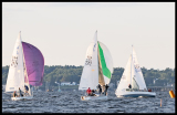 _DSC6061a