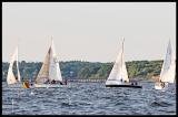_DSC6074a