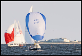 _DSC6339a