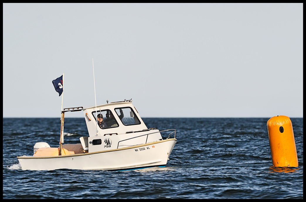 _DSC3998
