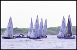 _DSC4102