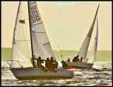 _DSC4980