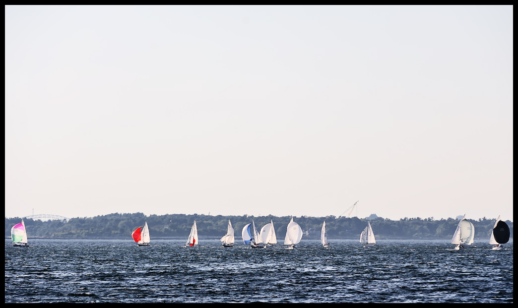 _DSC9023