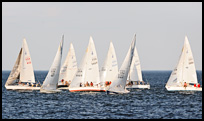 _DSC8960