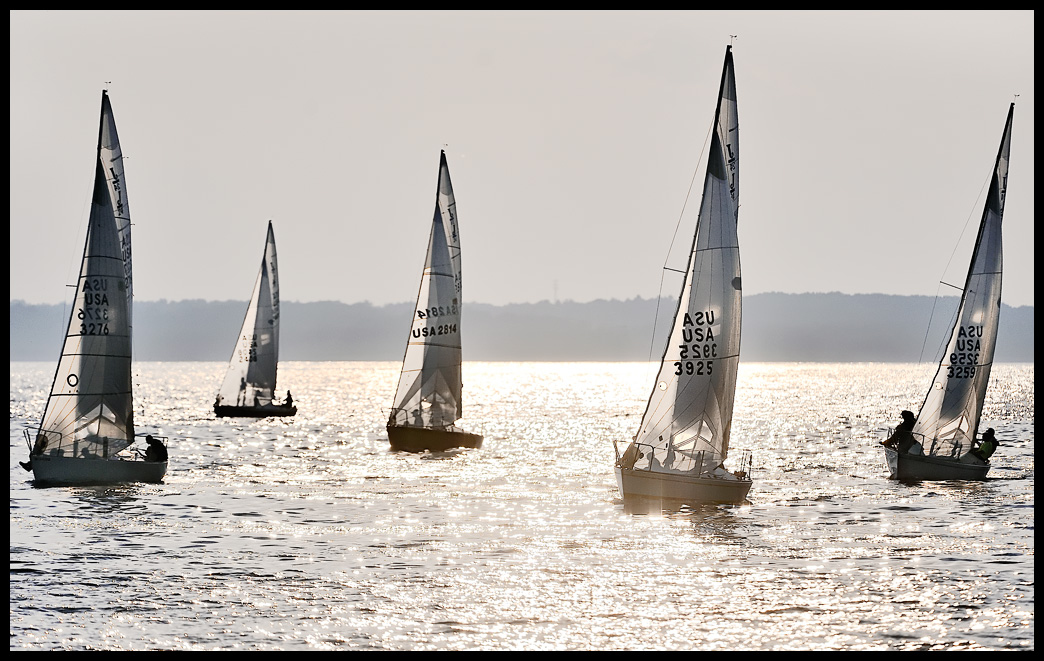 _DSC0310