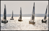 _DSC0310