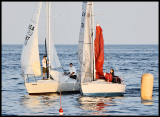 _DSC0425