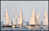 _DSC0674