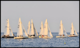 _DSC0722