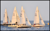 _DSC0734