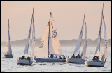 _DSC0802