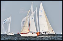 _DSC3206