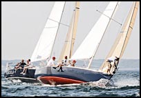 _DSC3646