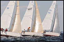 _DSC3761