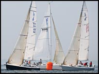 _DSC8235
