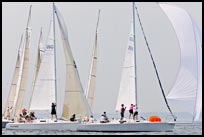 _DSC8611