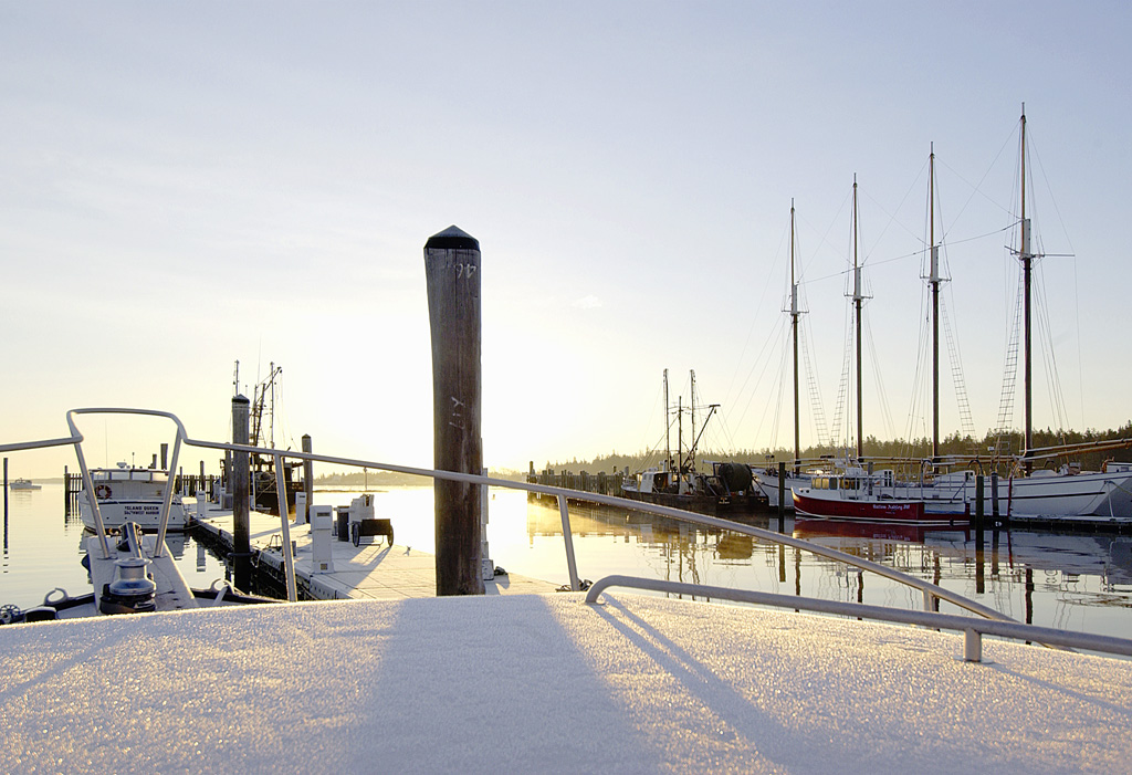 aDSC_0024c