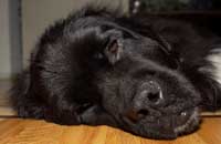 Tired