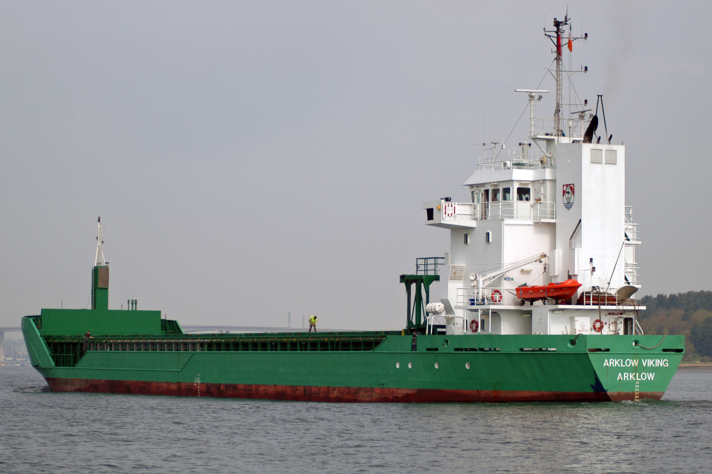 Arklow Viking