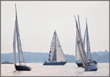 _DSC0011a