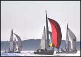 A_DSC0055a
