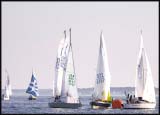 A_DSC0166a