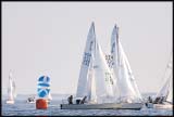 A_DSC0174a