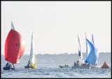 B_DSC0060a