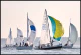 B_DSC0095a