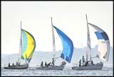 B_DSC0145a