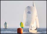 B_DSC0169a