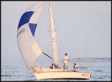 C_DSC0227a